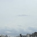 타다이마 네이버블로그