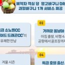 노블버디골프 이미지