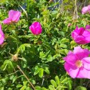 버스정류장_한국농어촌공사_1 이미지