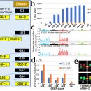 Y-026 | 복제는 어디까지 가능한가 — 20년 실험이 밝혀낸 ‘복제 생명의 한계’