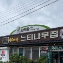 청풍면 복지회관 | 제천 청풍호 송어회 맛집 느티나무집 본점 송어비빔회 매운탕 최고다