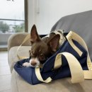 생활 헤어 커트 이미지