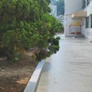 소룡초등학교 이미지