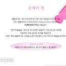 헤어포에버 이미지