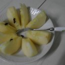 은골농원 이미지