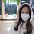 미르메딕스 이미지