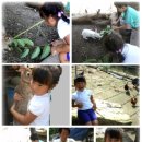 숯골마을 이미지