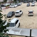 대성정보/전산