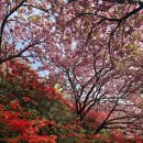 서학로 사거리 이미지