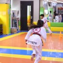 학사태권도 이미지