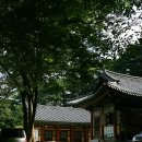 [대구] 앞산 은적사 隱跡寺 이미지