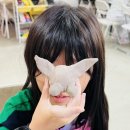 흙미술학원 이미지