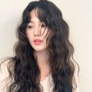 젤리통통 이미지