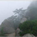 에덴동산 - 남구 | 에덴동산