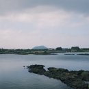 오조 | 제주도 한달살이 지창욱 신혜선 웰컴투삼달리 촬영지 오조포구 방문 후기