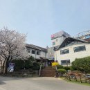 덕풍천서로 | 하남 스타필드 점심 맛집 달마당쭈꾸미 반달정식 웨이팅 필수 후기