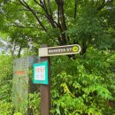 칠절리 | [무의도 해상관광탐방로 후기] 가을비 속에 걷는 섬 둘레길 — 주상절리와 기암괴석이 선물한 힐링 산책로