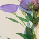 오스헤어샵 | 일상 | 청년전세대출. 아월 헤어샵. 오스스퀘어. 식물 드로잉 클래스. 치팅데이 피자. 맥주 시음회