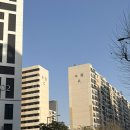 여보식당 | 벚꽃놀이 명소 여의도 맛집 방돈식당 방돈희세트 여의도 고기집 후기