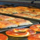베이콜로지빵학개론