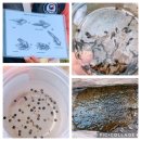 완산칠봉 유아숲체험원 이미지