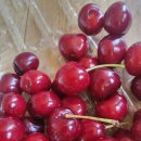 송악농장 이미지