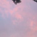 머구식당 이미지