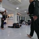 석균 이미지