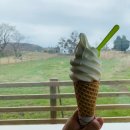 대평목장 이미지