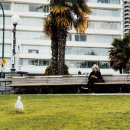 한산 F&P 이미지