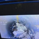 분당-119 이미지