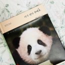 바오아저씨샵