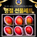 에바다 이미지