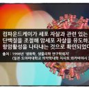케이씨케이 - 아산시 백석포길38번길 8 | 케이씨케이