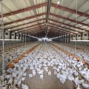 만수 태양광발전소 이미지