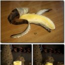 화강농장 이미지