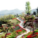 숲쟁이꽃동산 티스토리