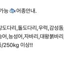 빅히트바다낚시터 이미지