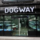 도그웨이 청주점 이미지