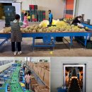 23명 목숨 살린 곡성 슈퍼맨의 멜론 농사