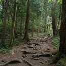 동암약수터 이미지