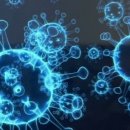 퍼펙트바디 이미지