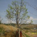 사철농장 이미지