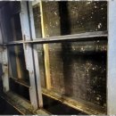 씨엠병원 이미지