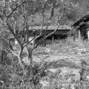 윗대티 등산로 이미지