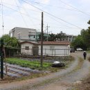 에코힐링민박 이미지