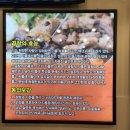 [거제 중곡] 한우생곱창으로 만든 &#39;지우돌곱창&#39; 거제곱창전골 맛집
