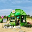 엠더블유엔테크(주) | 국립세종수목원 무료개방 세록세록 봄꽃축제 솔직 후기(+주차, 개화상황)