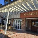 자매제과 서곡점 | [원주 맛집] 🥐 자매제과 서곡점 : 화제의 ‘두쫀쿠’부터 인생 브런치까지 완벽 정복! ✨