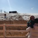 소들목장정육점